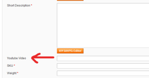 Youtube Video pada Halaman Produk Magento Website